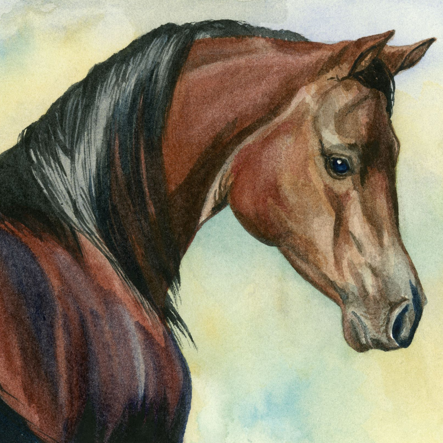 Hey Bay – Elegant Equine Arabian Horse Watercolor Paper Fine Art Print