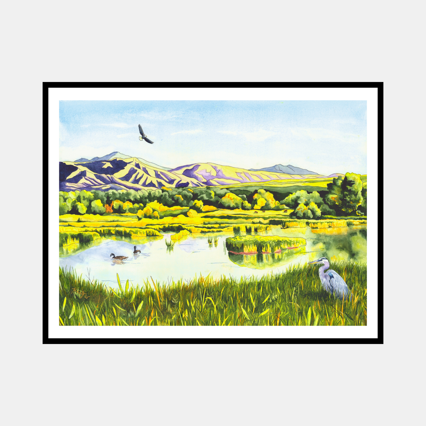 View From the Gate – Colorado Wetlands Paper Fine Art Print