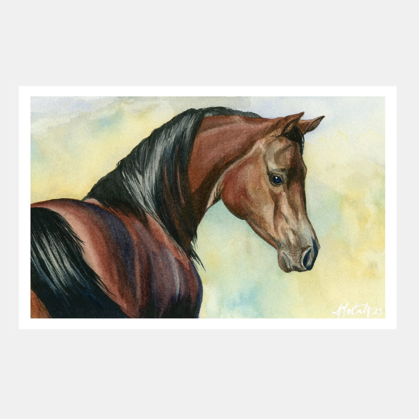 Hey Bay – Elegant Equine Arabian Horse Watercolor Paper Fine Art Print