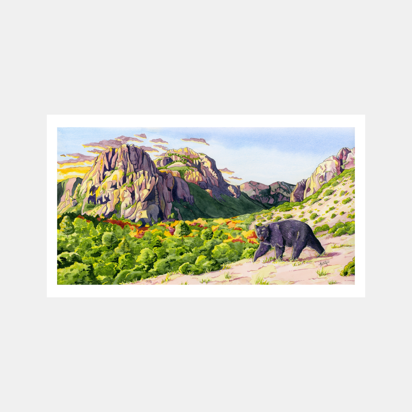 Guardians of the Canyon – Desert Wildlife Paper Fine Art Print