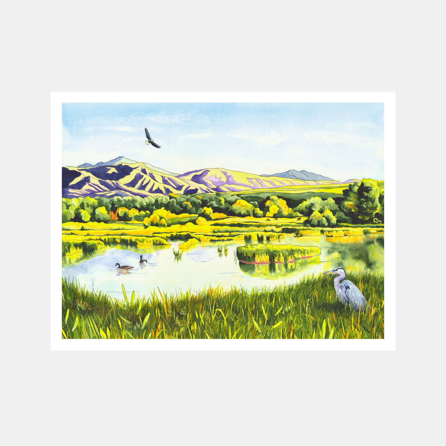 View From the Gate – Colorado Wetlands Paper Fine Art Print