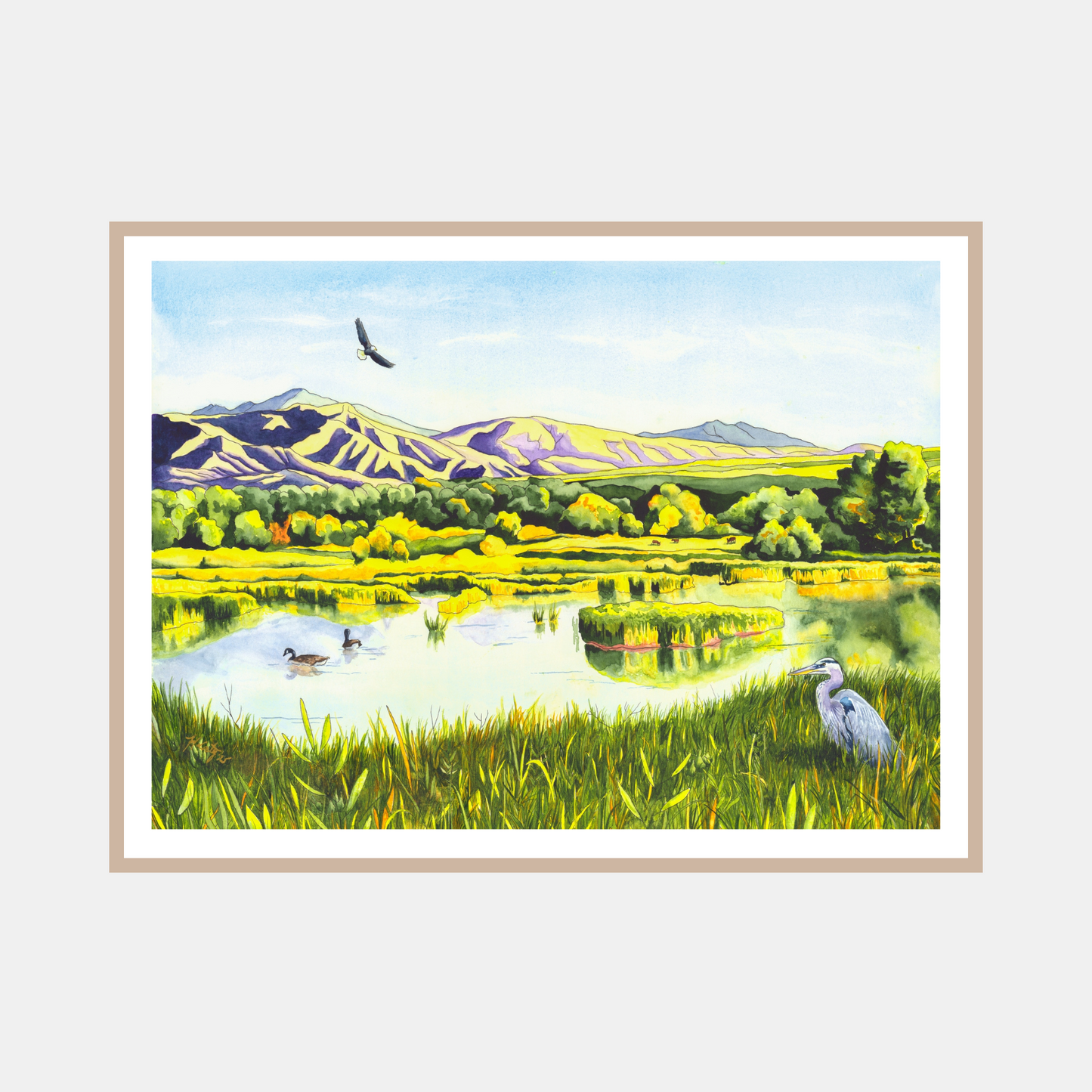 View From the Gate – Colorado Wetlands Paper Fine Art Print