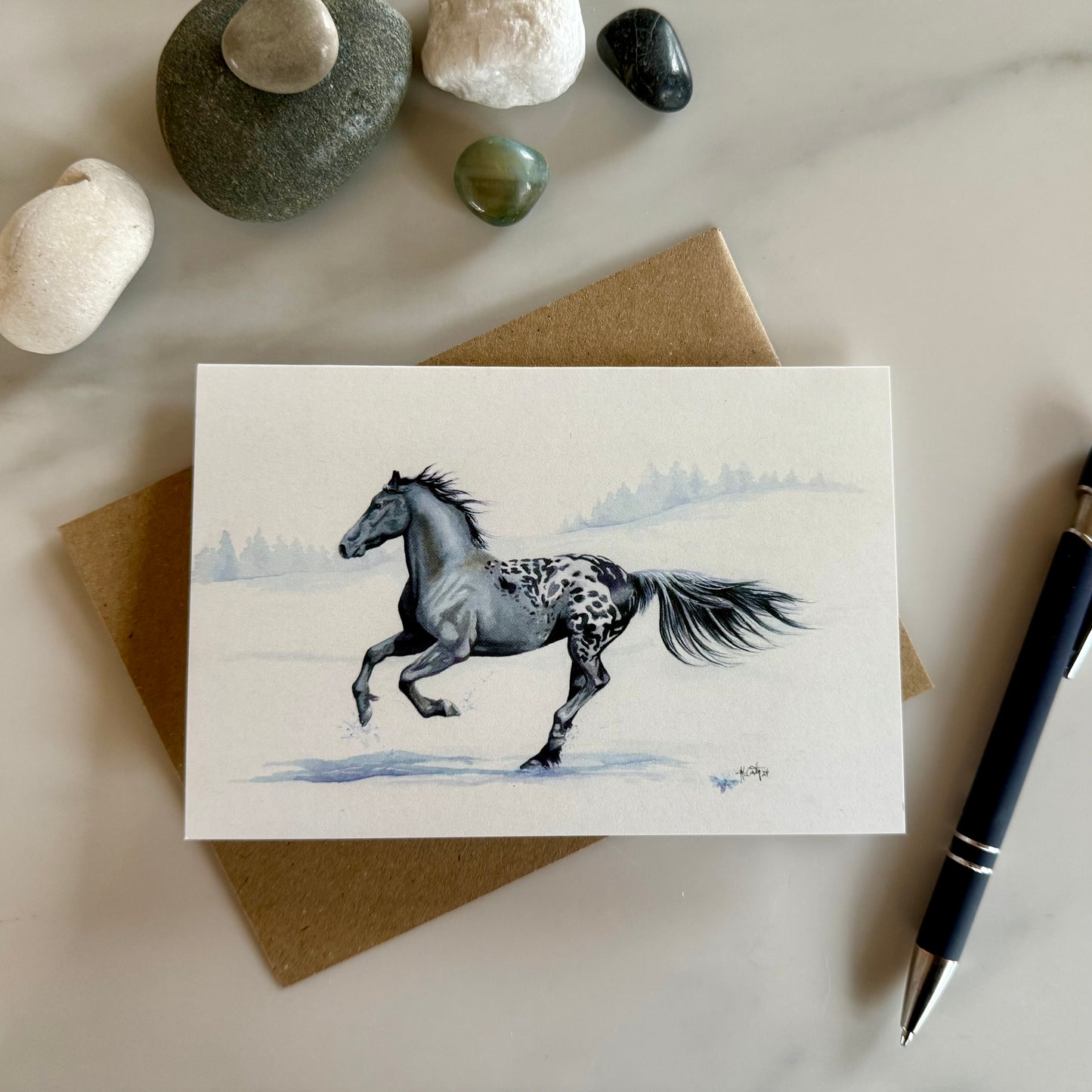 Winter Warrior Greeting Card