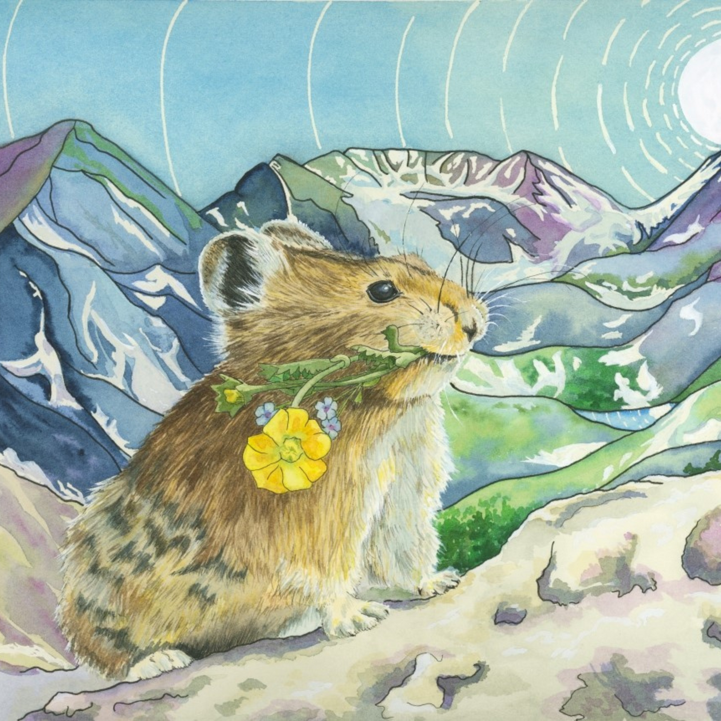 Peek Beyond the Pika – Rocky Mountain Paper Fine Art Print