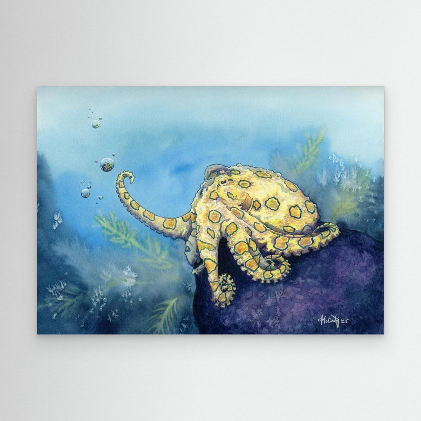 Stay Curious - Whimsy Octopus Canvas Print for Ocean Lovers