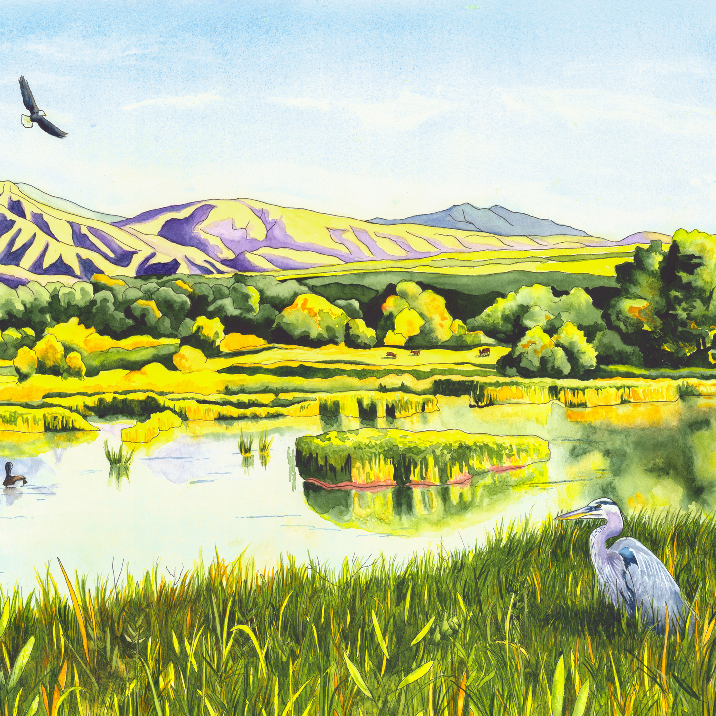 View From the Gate – Colorado Wetlands Paper Fine Art Print