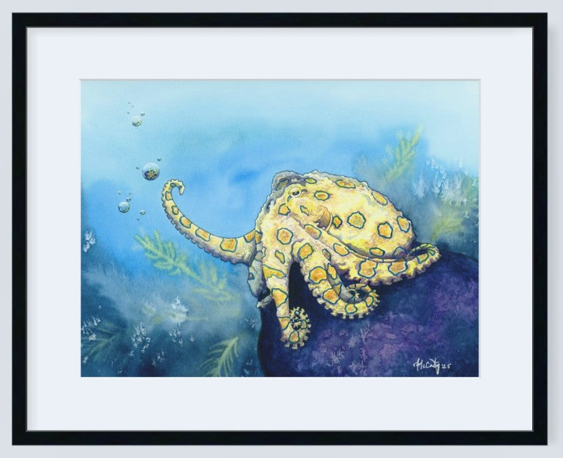 Stay Curious – Original Octopus Watercolor Painting
