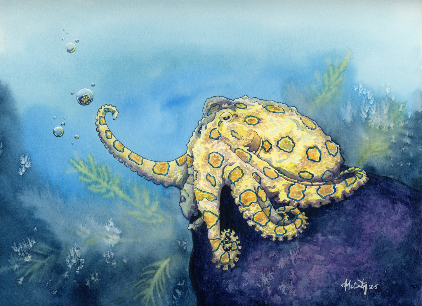 Stay Curious – Original Octopus Watercolor Painting
