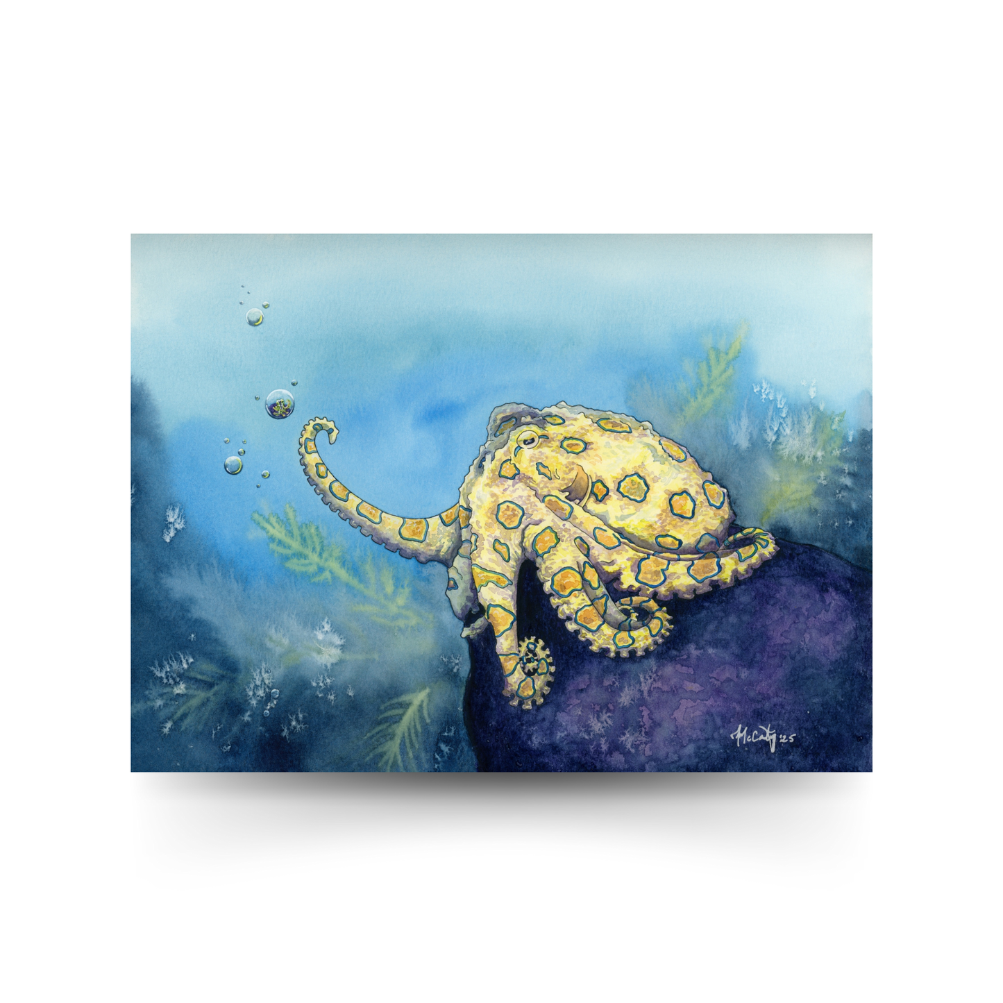 Stay Curious - Whimsy Octopus Paper Print for Ocean Lovers
