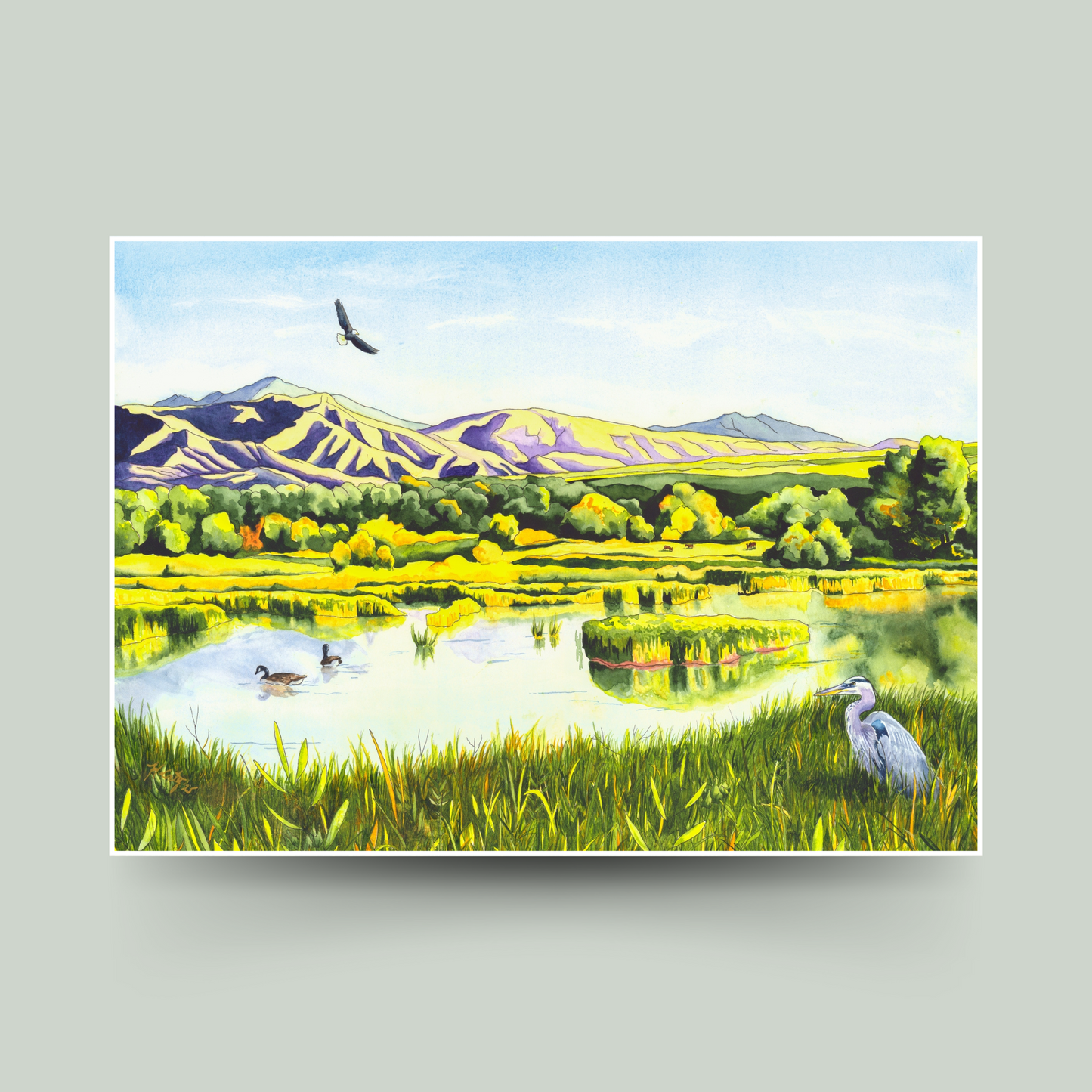View From the Gate - Colorado Wetlands Paper Fine Art Print