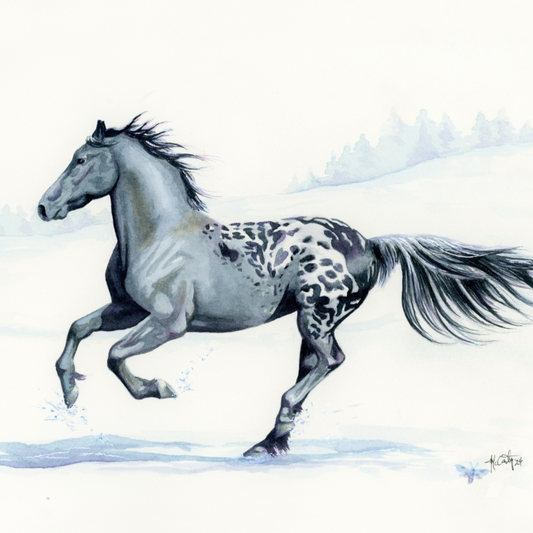A fine art print of a black and white horse, likely a Friesian-Knabstrupper stallion, galloping in a snowy field.