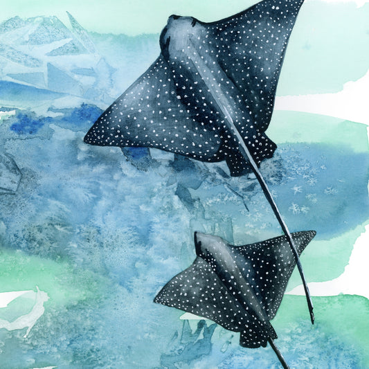 Time Together — Eagle Rays Original Watercolor Painting | 9×12