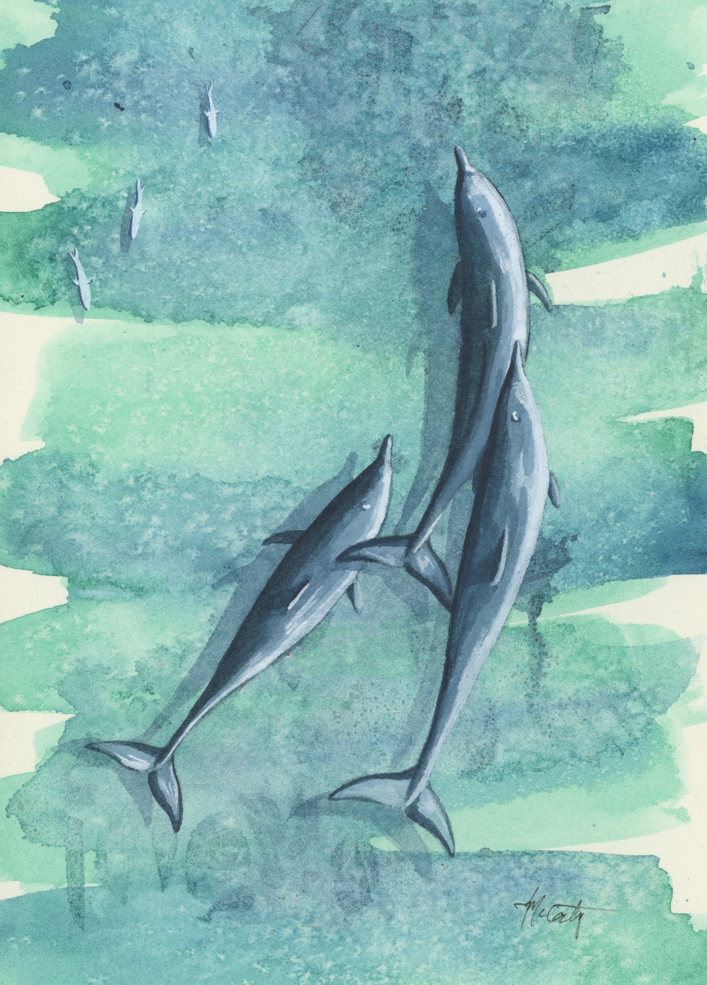 Bottlenose Dolphins Study | 5"x7"