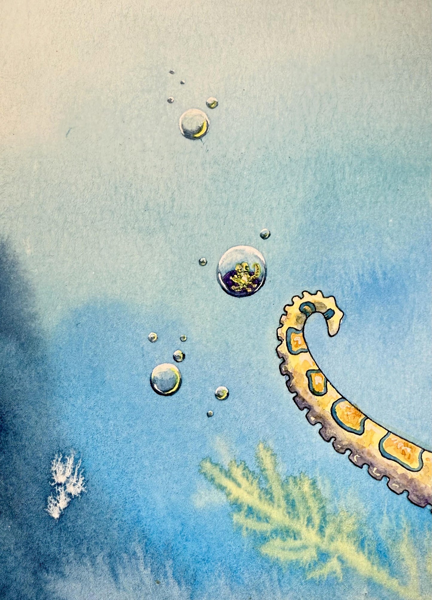Stay Curious – Original Octopus Watercolor Painting
