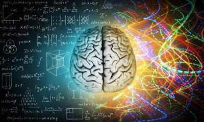 Your Brain on Creativity