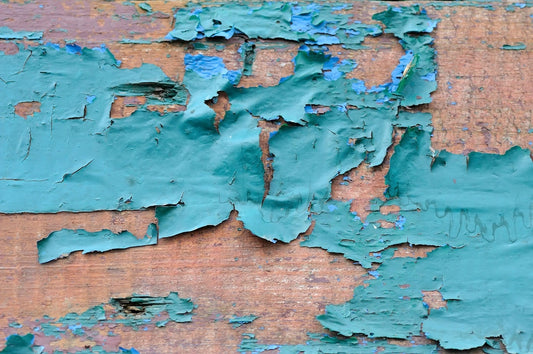Eco-Friendly Art: Cutting Out Microplastics for a Healthier Future