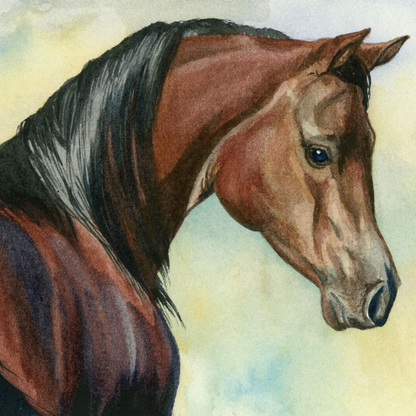 Hey Bay – Elegant Equine Arabian Horse Watercolor Paper Fine Art Print