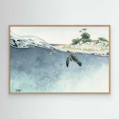 Gems of the Gulf — Sea Turtle Hatchlings Fine Art Print