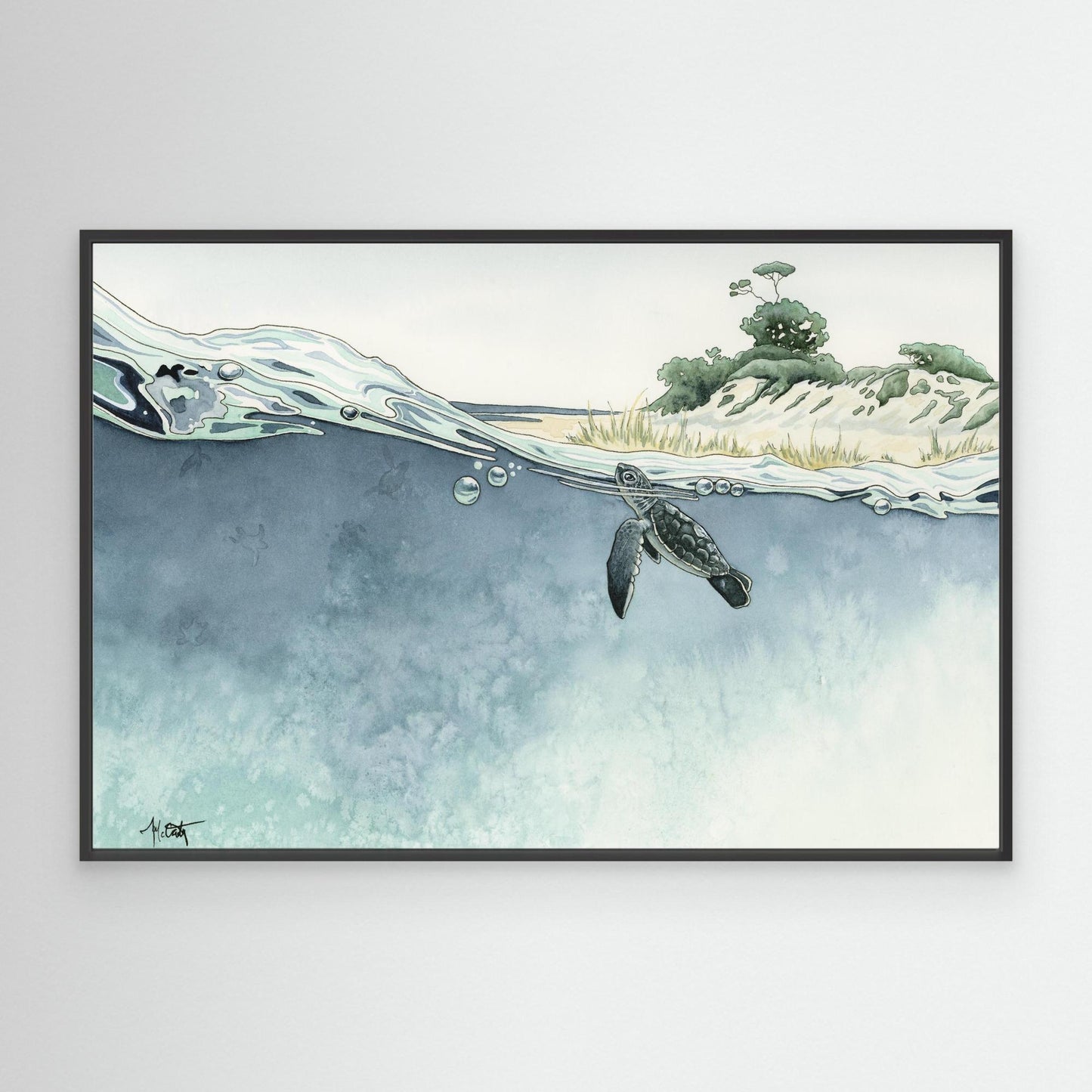 Gems of the Gulf — Sea Turtle Hatchlings Fine Art Print