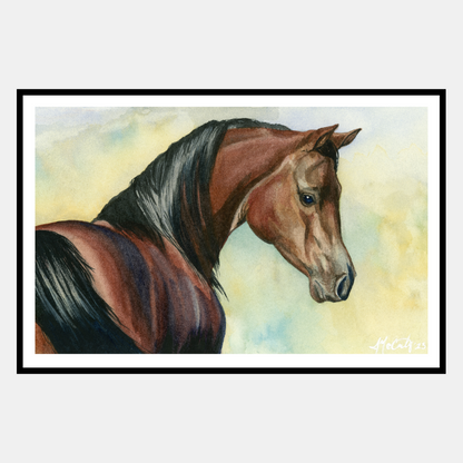Hey Bay – Elegant Equine Arabian Horse Watercolor Paper Fine Art Print