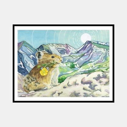 Peek Beyond the Pika - Rocky Mountain Wildlife Fine Art Paper Print