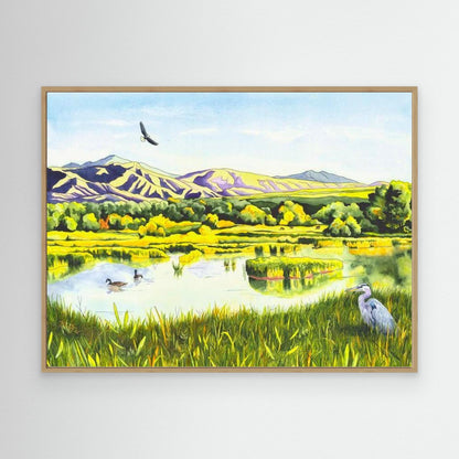 View From the Gate - Colorado Wetlands Fine Art Print
