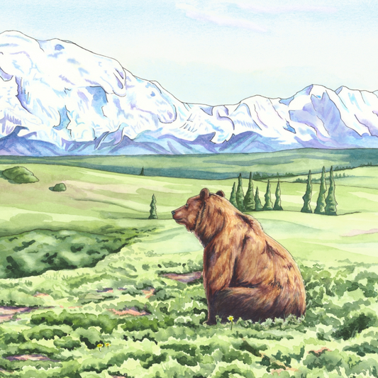 Denali Dreamin’ – Alaska Wildlife Paper Fine Art Print