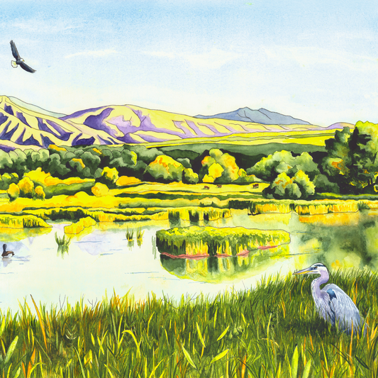 View From the Gate – Colorado Wetlands Canvas Fine Art Print