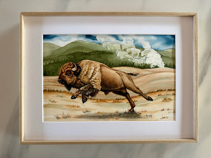 Yellowstone Thunder — Charging Bison in Yellowstone Original Watercolor Painting
