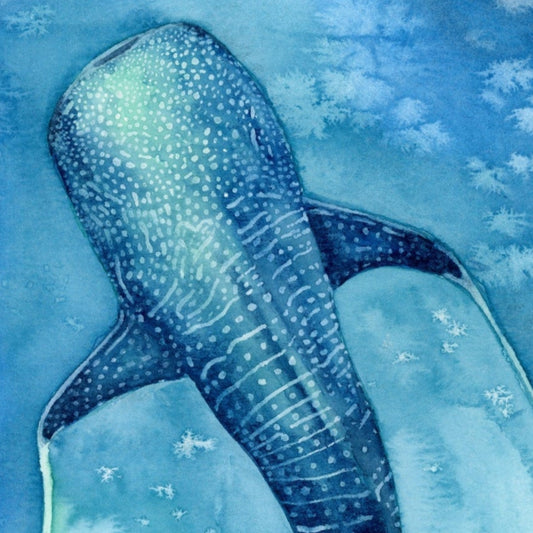 Found My Heart Among Giants – Dreamy Whale Shark Canvas Print for Ocean Lovers