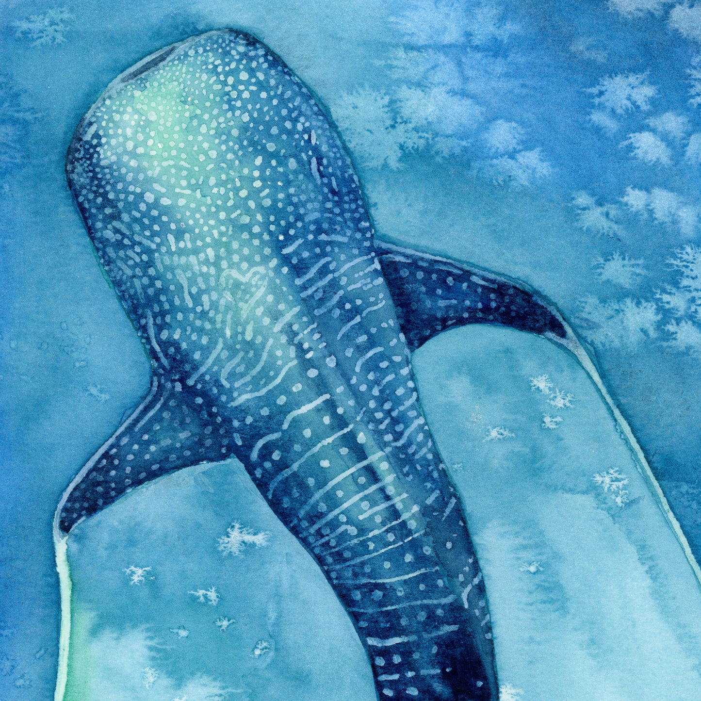 Found My Heart Among Giants – Original Whale Shark Watercolor Painting