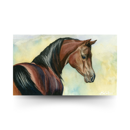 Hey Bay – Elegant Equine Arabian Horse Watercolor Fine Art Print