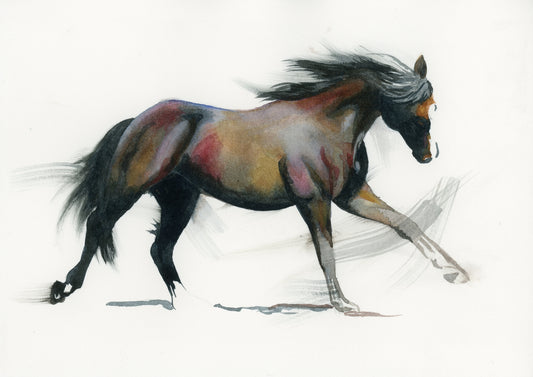 Bay Horse Movement Study