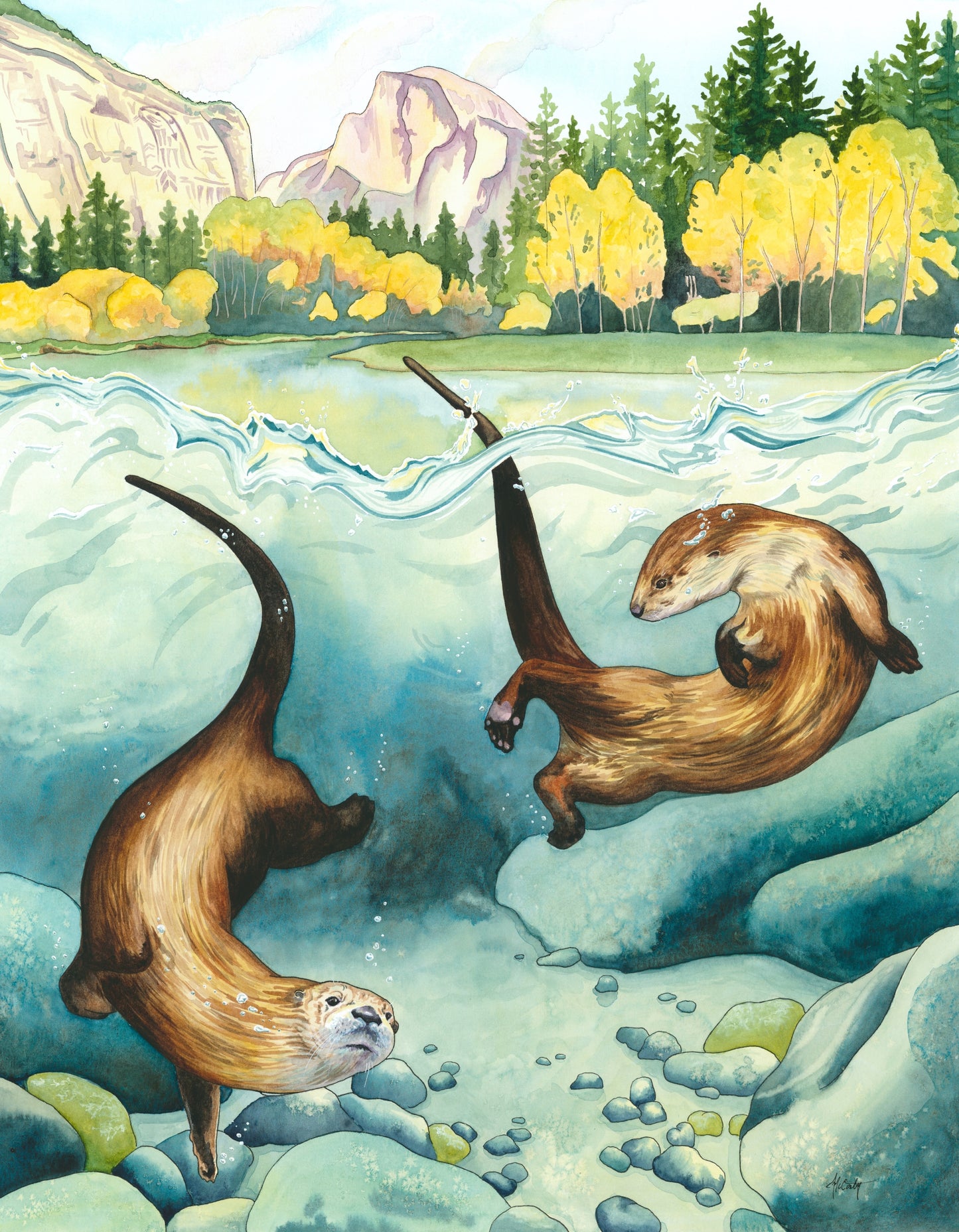 Remember to Romp - Joyful Yosemite River Otter Paper Print for National Park Lovers