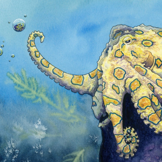 Stay Curious - Whimsy Octopus Paper Print for Ocean Lovers