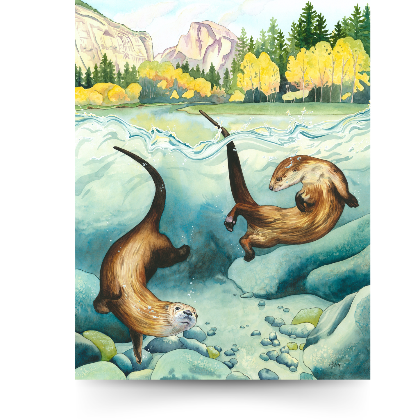 Remember to Romp - Joyful Yosemite River Otter Fine Art Print for National Park Lovers