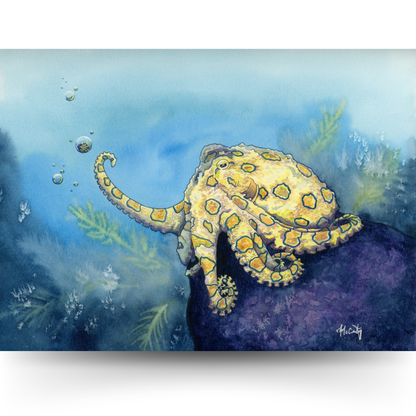 Stay Curious - Whimsy Octopus Fine Art Print for Ocean Lovers
