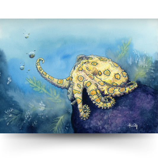 Stay Curious - Whimsy Octopus Fine Art Print for Ocean Lovers