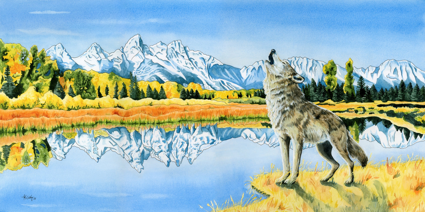 Calling the Pack – Grand Tetons Wolf Paper Fine Art Print