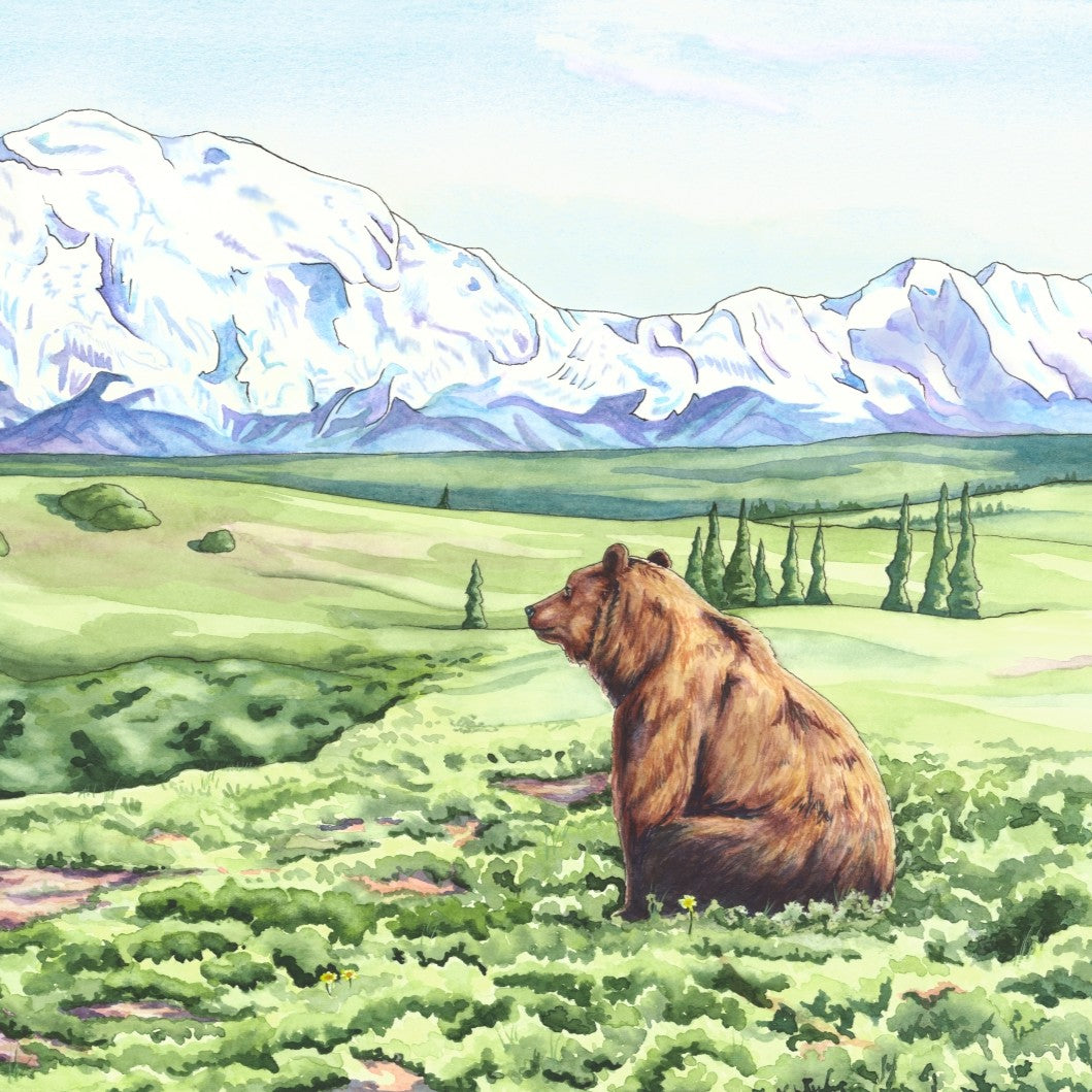 Denali Dreamin' - Alaska Wildlife Original Watercolor Painting