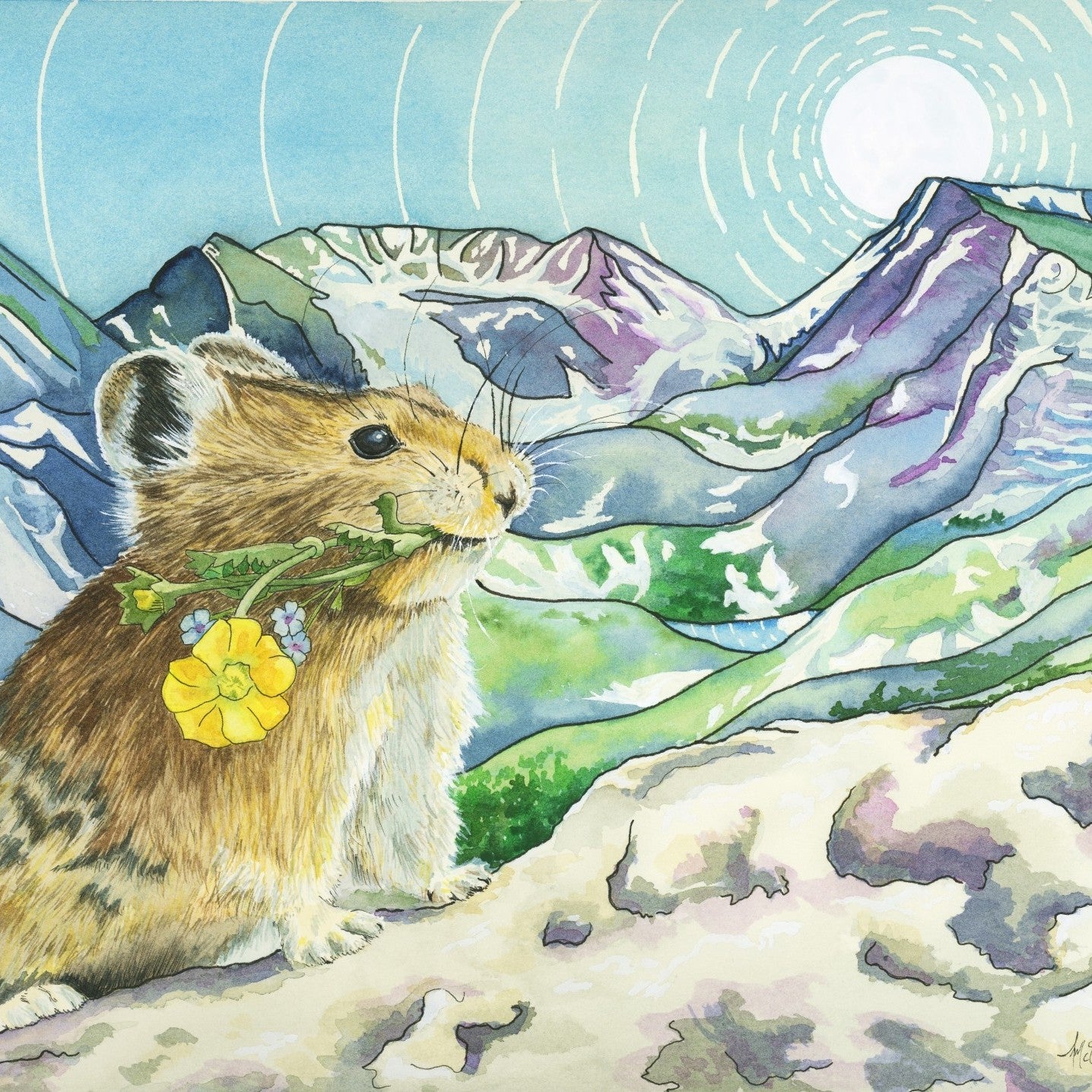 Peek Beyond the Pika - Rocky Mountain Wildlife Original Watercolor Painting