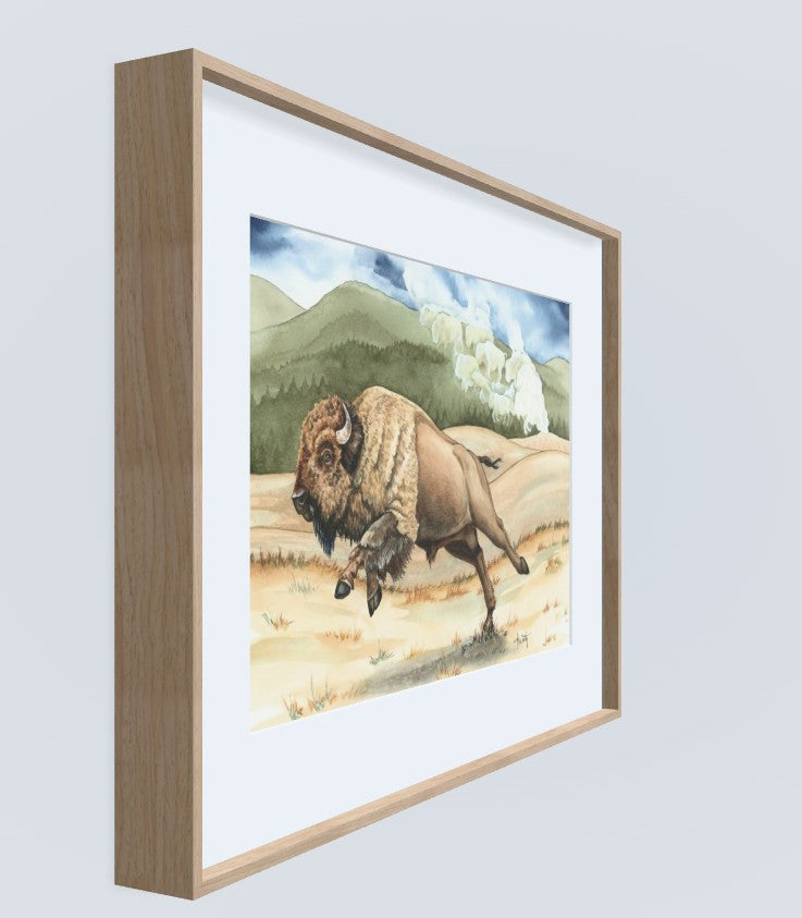 Yellowstone Thunder — Charging Bison in Yellowstone Original Watercolor Painting