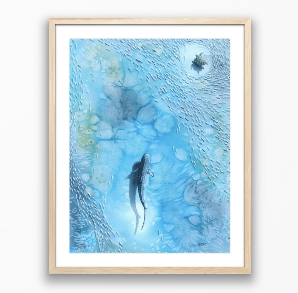 Veiled in Silver — Sea Turtle & Tiger Shark Original Watercolor Painting | 18×24
