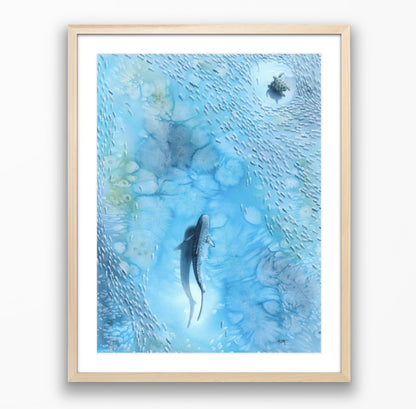 Veiled in Silver — Sea Turtle & Tiger Shark Original Watercolor Painting | 18×24