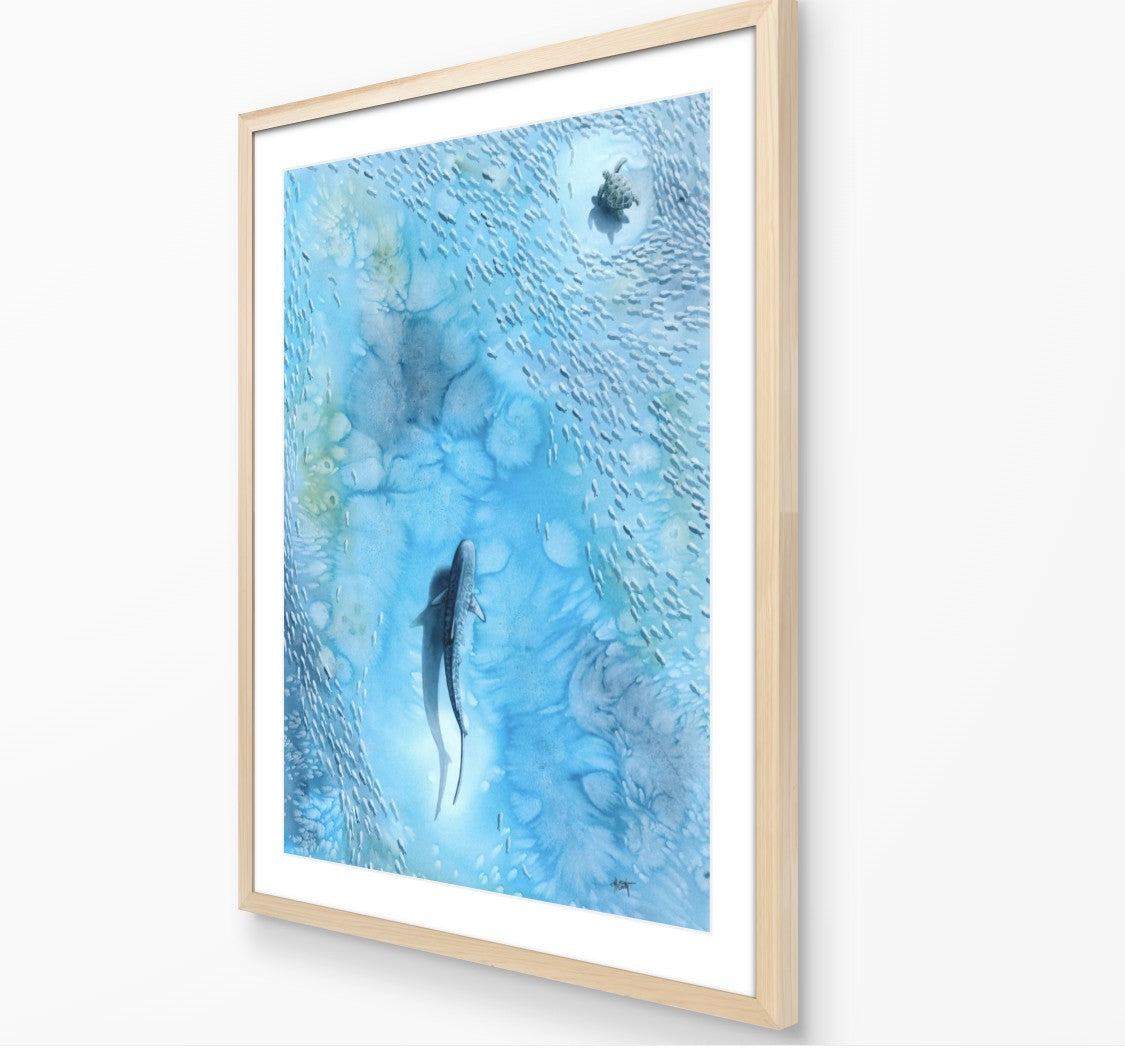 Veiled in Silver — Sea Turtle & Tiger Shark Original Watercolor Painting | 18×24