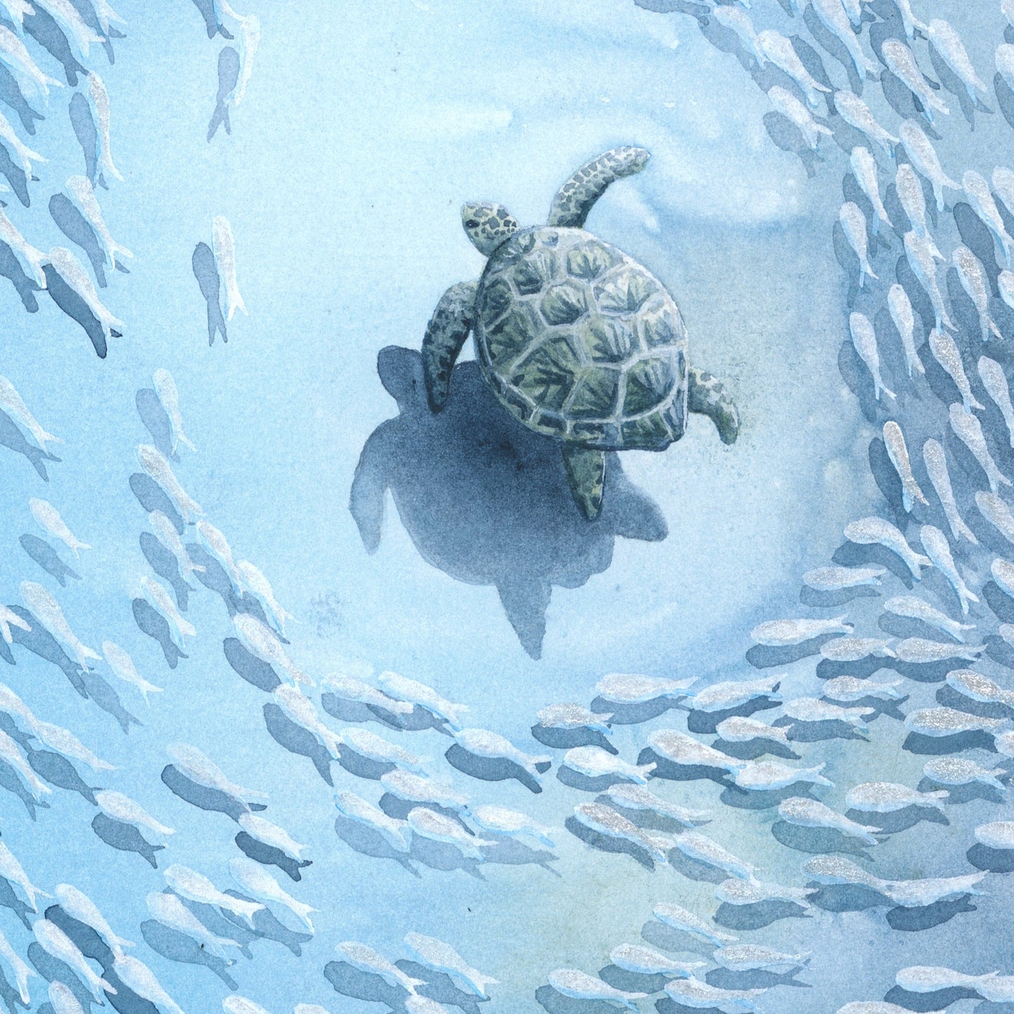 Veiled in Silver — Sea Turtle & Tiger Shark Original Watercolor Painting | 18×24