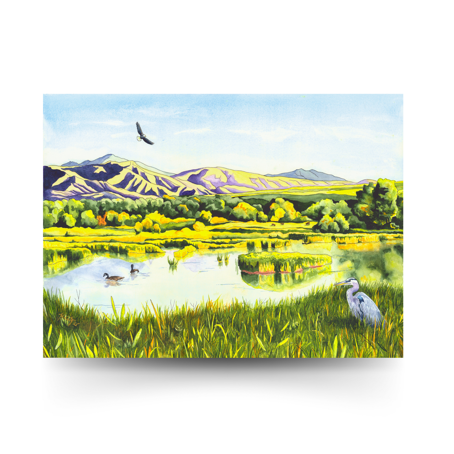 View From the Gate - Colorado Wetlands Fine Art Print