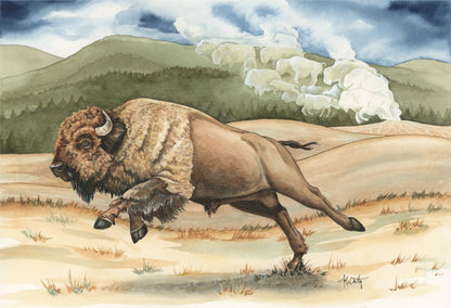 Yellowstone Thunder — Charging Bison in Yellowstone Original Watercolor Painting
