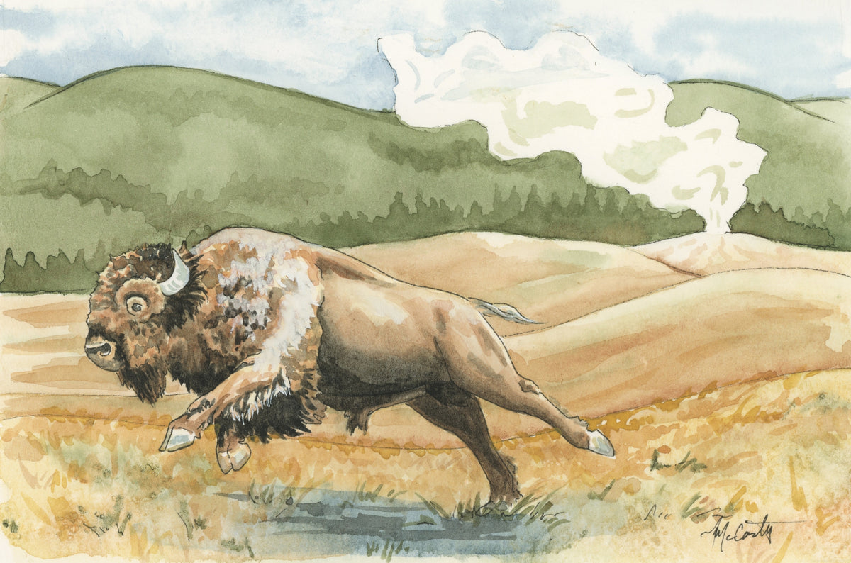 Yellowstone Thunder Study