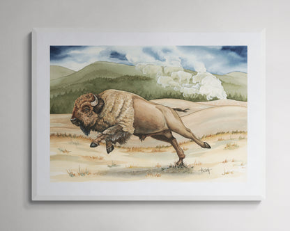Yellowstone Thunder — Charging Bison in Yellowstone Fine Art Print